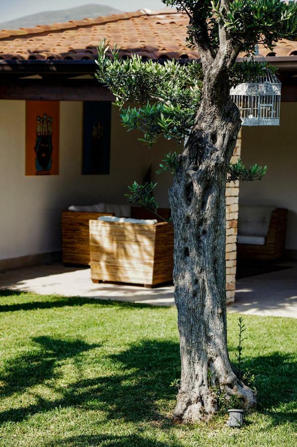 Villa Araucaria Partinico Buitenkant foto
